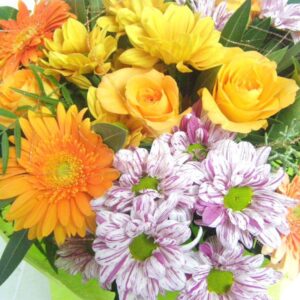 Suspiro de PRIMAVERA