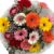 Ramo flores gerberas colorido flores 50x50